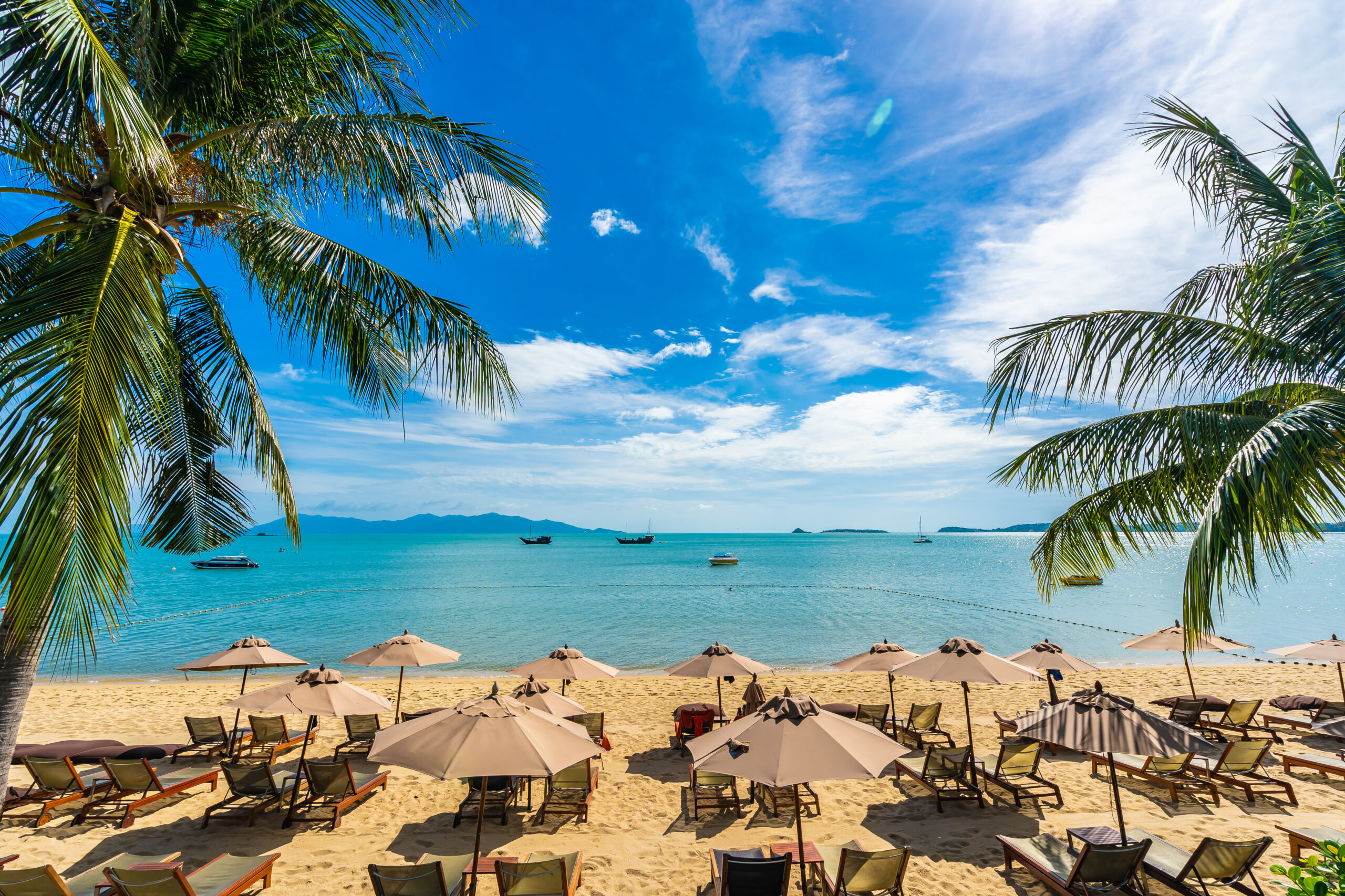 Caribe